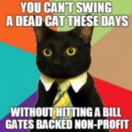 Bill Gates Dead Cat